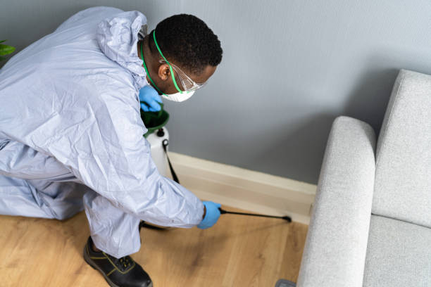 Best Pest Exclusion Services  in Rockville Centre, NY